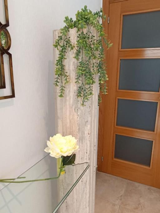 Bungalow En Primera Linea Del Mar 아레날레스 델 솔 외부 사진